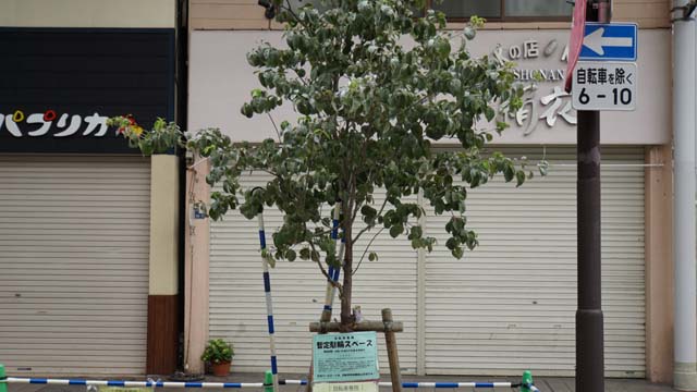 f:id:riyot:20140810013334j:image:w300