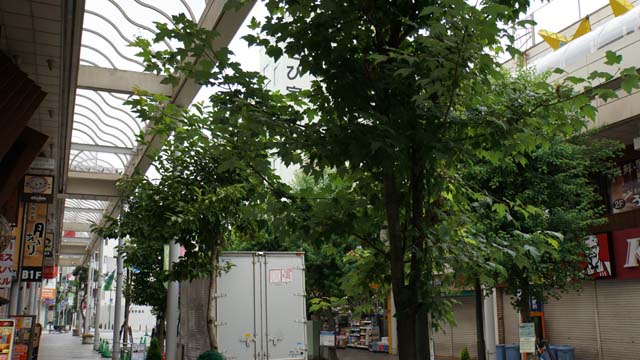 f:id:riyot:20140810013342j:image:w300