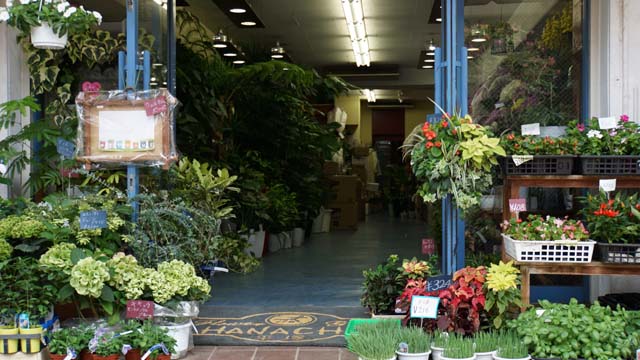 f:id:riyot:20140811195911j:image:w300