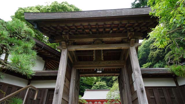 f:id:riyot:20140814164139j:image:w300 f:id:riyot:20140814164139j:image:w300