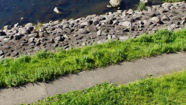 f:id:riyot:20140922231320j:image:w300