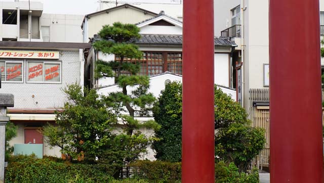 f:id:riyot:20140927164411j:image:w300