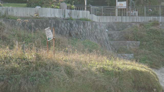 f:id:riyot:20140927164441j:image:w300