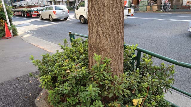 f:id:riyot:20181210021038j:image:w300