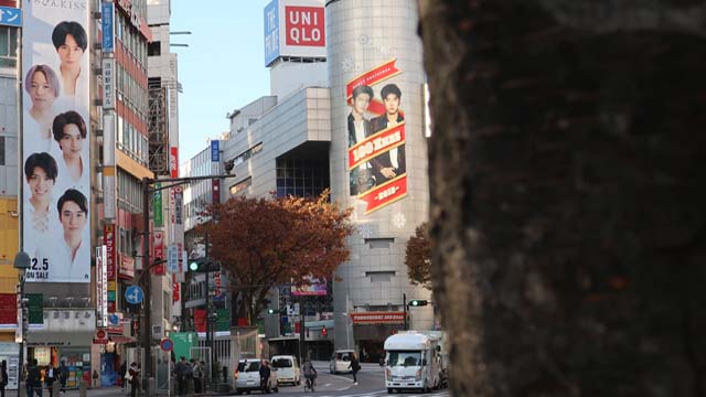 f:id:riyot:20181210021547j:image:w300