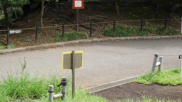 f:id:riyot:20181210021834j:image:w300