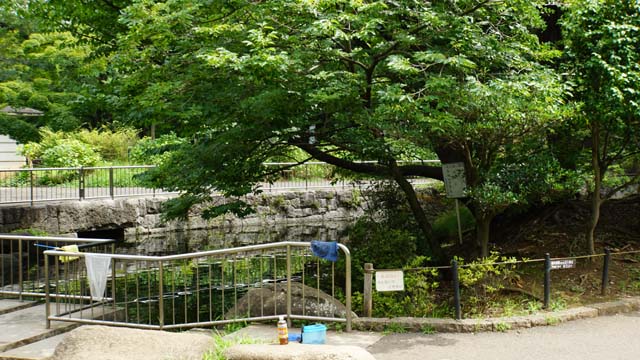 f:id:riyot:20181210021838j:image:w300