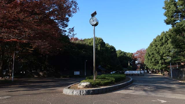 f:id:riyot:20181210050155j:image:w300