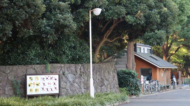 f:id:riyot:20181210050200j:image:w300