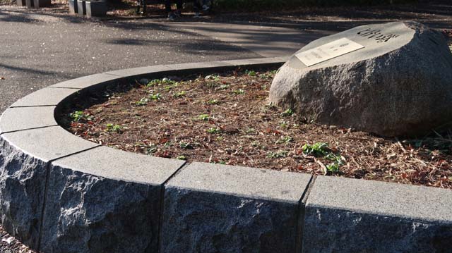 f:id:riyot:20181218224902j:image:w300