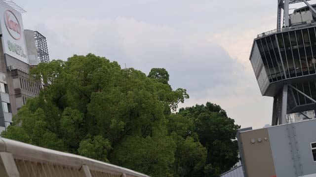 f:id:riyot:20200927131901j:image:w300
