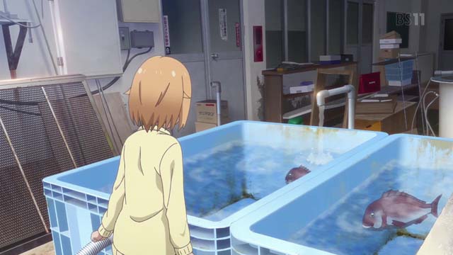 f:id:riyot:20201220142042j:image:w300