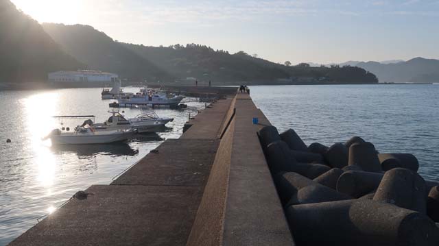 f:id:riyot:20201220142344j:image:w300