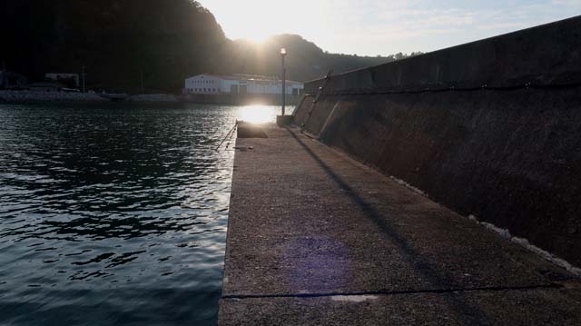 f:id:riyot:20201220142449j:image:w300