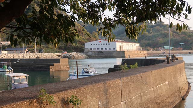 f:id:riyot:20201220142629j:image:w300