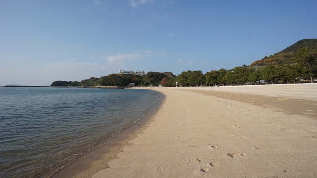 f:id:riyot:20201220142957j:image:w300