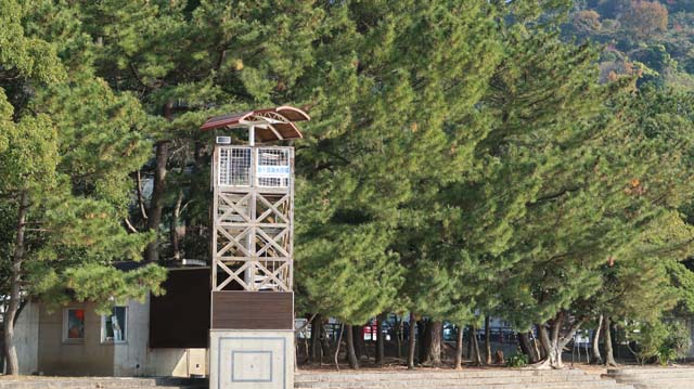 f:id:riyot:20201220143036j:image:w300