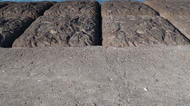 f:id:riyot:20201220143124j:image:w300