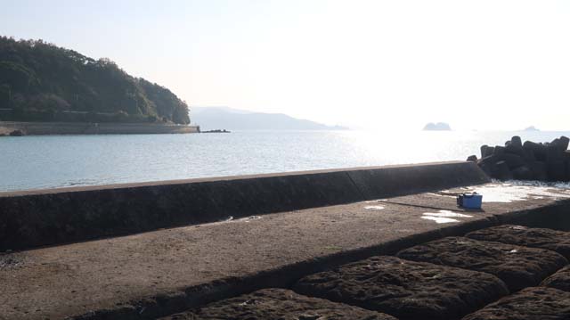 f:id:riyot:20201220143130j:image:w300