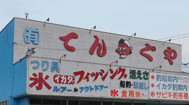 f:id:riyot:20210622003442j:image:w300