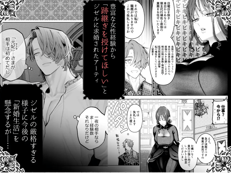 TL同人誌・放蕩貴族は元王太子妃との孕ませ婚で忙しい・イラスト
