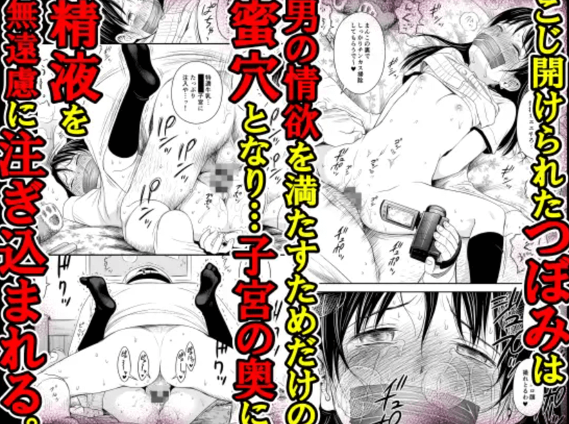 同人誌・がいがぁかうんたぁ完全版・イラスト