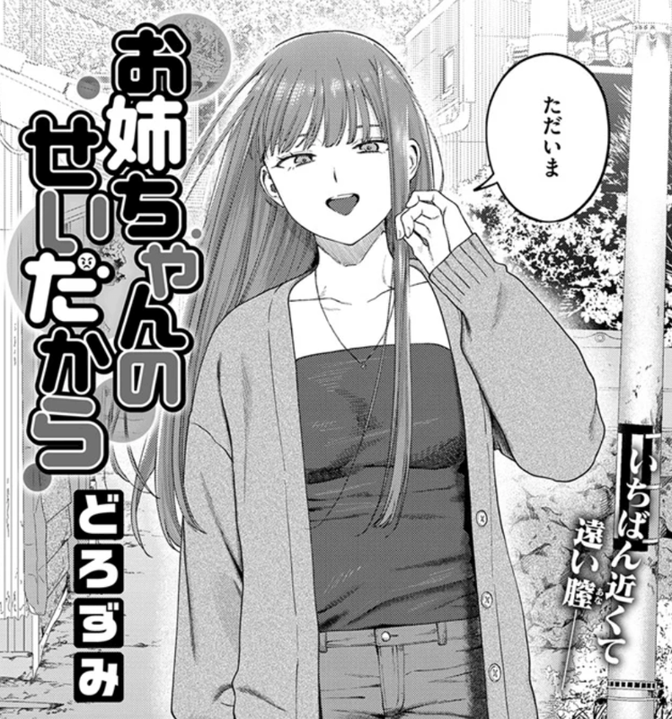 成年コミック・お姉ちゃんのせいだから・イラスト