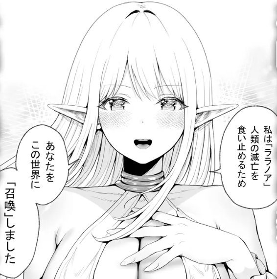 同人誌・種馬(救世主)として召喚された異世界でエルフママに甘やかされながらヤリまくる・イラスト