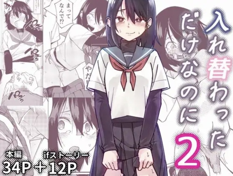 エロ同人誌・入れ替わっただけなのに2・イラスト