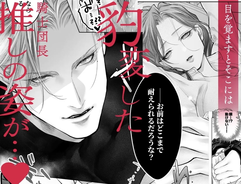 TL同人誌・団長を助けたかっただけなのに激重執着レ〇プされています・イラスト