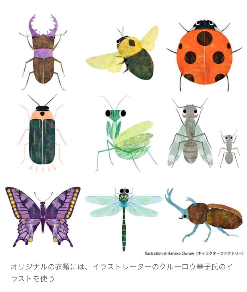 f:id:rjem:20180928030813j:plain f:id:rjem:20180928030813j:plain