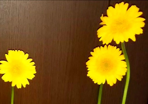 f:id:rk139:20190522213834j:plain f:id:rk139:20190522213834j:plain