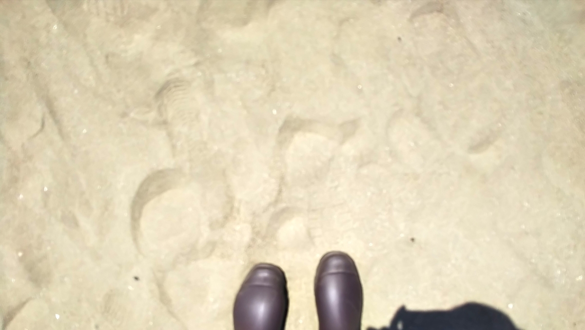 f:id:rk139:20190523211850j:plain f:id:rk139:20190523211850j:plain