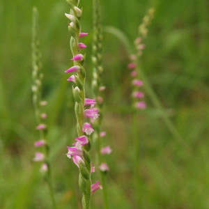 P6200026