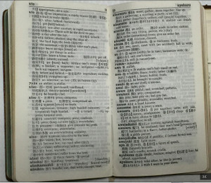 Photo_3