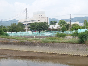 P8020231_2