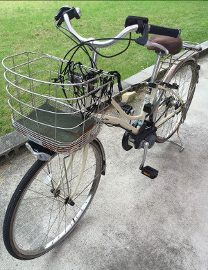 Photo_6