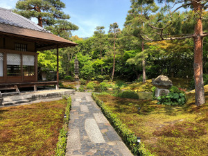 Photo_6