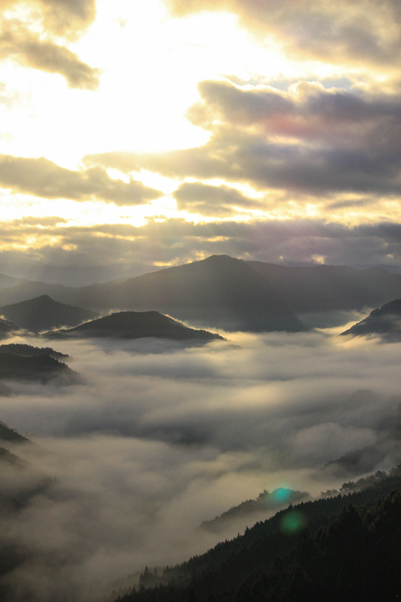 【年中見ることができる雲海!?】奈良の絶景・雲海景勝地 - The journey of life