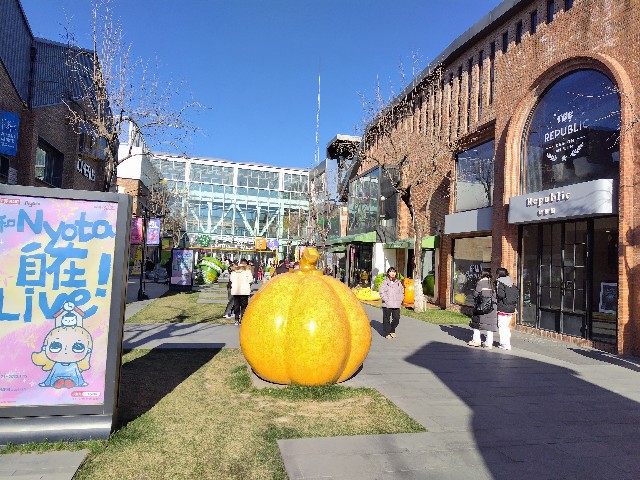 f:id:rkayochan:20241223105125j:image