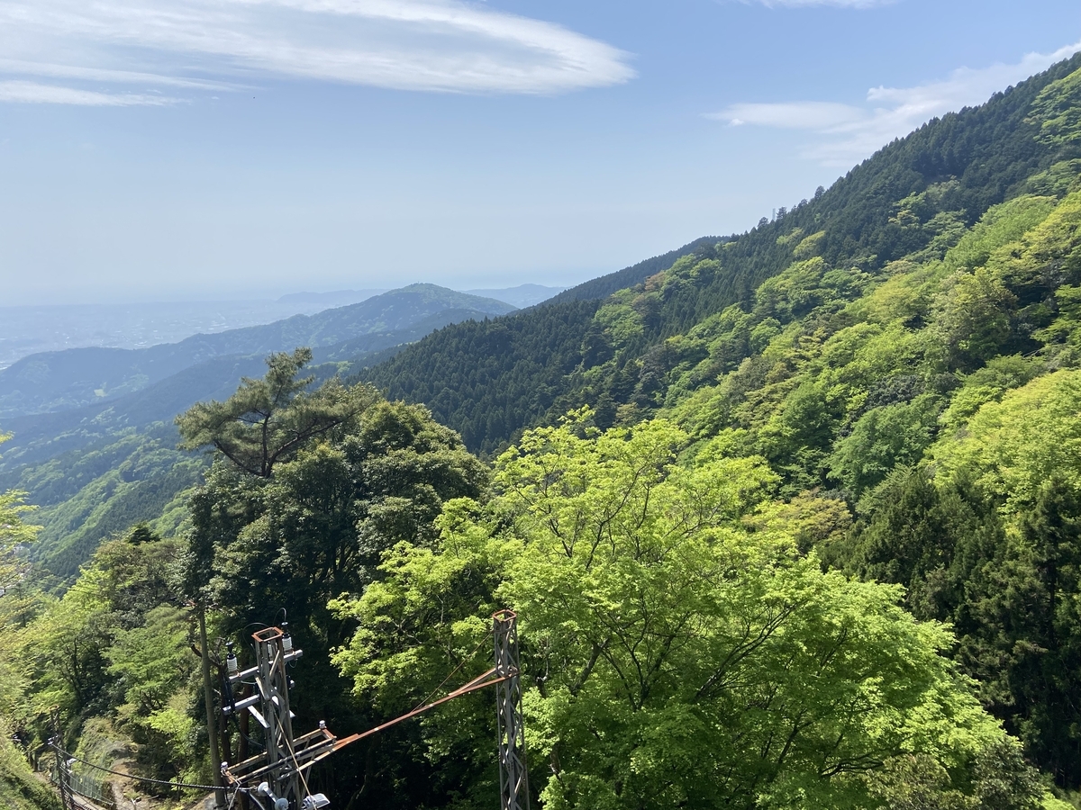 oyama