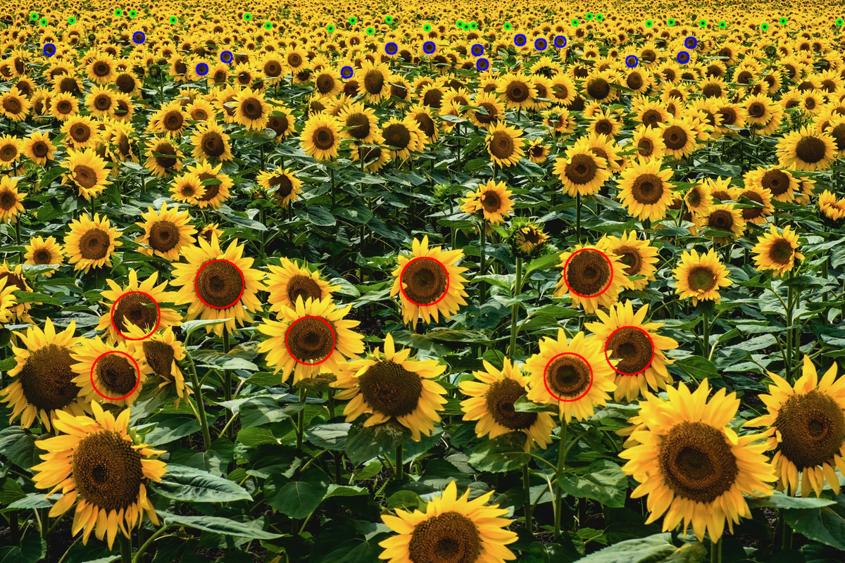 f:id:rkoichi2001:20200514163523j:plain f:id:rkoichi2001:20200514163523j:plain