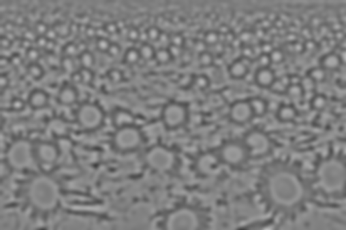 f:id:rkoichi2001:20200514164801p:plain f:id:rkoichi2001:20200514164801p:plain