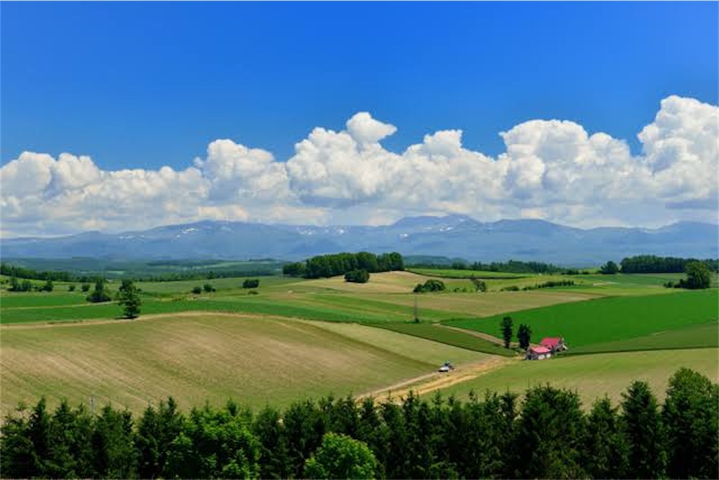 f:id:rkota:20201228231735j:image f:id:rkota:20201228231735j:image