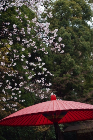 f:id:rksn:20120304211857j:image