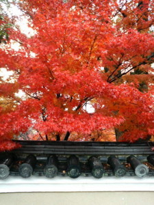 f:id:rku0804:20081210190745j:image
