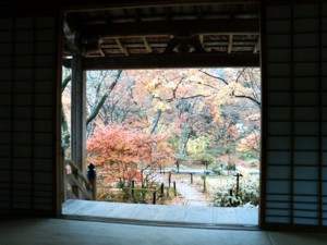 f:id:rku0804:20081210191629j:image