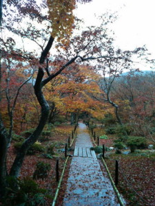 f:id:rku0804:20081210191634j:image