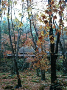f:id:rku0804:20081210202320j:image