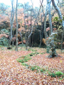 f:id:rku0804:20081210202321j:image